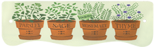 Herbs Large Holder
